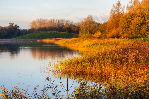 The sun has just risen at the Geestmerambacht recreational area, casting a beautiful glow over the trees by the lake. Autumn has truly arrived in the Netherlands, resulting in a vibrant display of colors.
