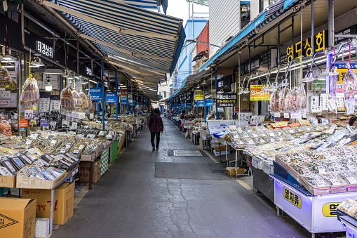 busan, south korea - november 1, 2023: famous jagalchi fishmarket in the seconds largest city of south korea. busan has a huge harbor and the biggest fishmarket in south korea. busan will have the worldexpo 2030.