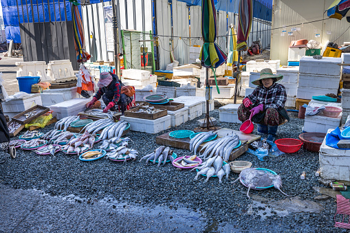 busan, south korea - november 1, 2023: famous jagalchi fishmarket in the seconds largest city of south korea. busan has a huge harbor and the biggest fishmarket in south korea. busan will have the worldexpo 2030.