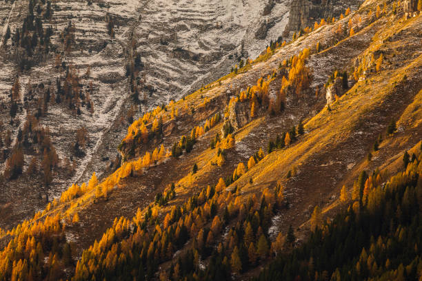 First snow of the 2023-2024 winter season in Sella Nevea. A magical light at sunset.