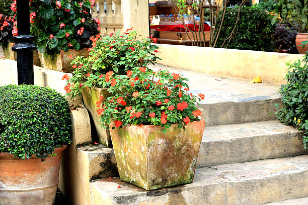 istock Stairs, walking in the park. 179337772