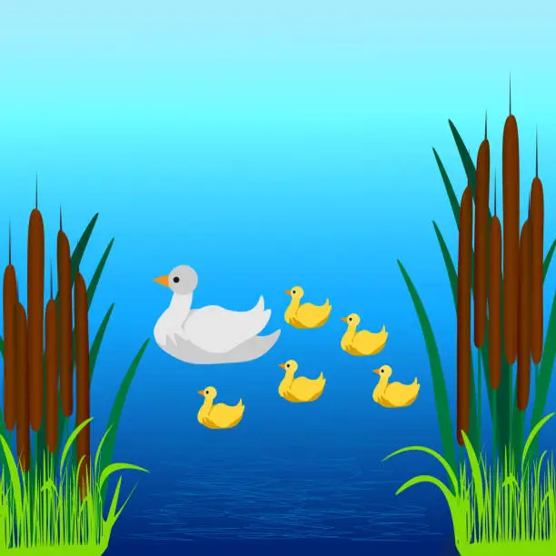 Vector illustration of A duck with little ducklings swims in the lake.