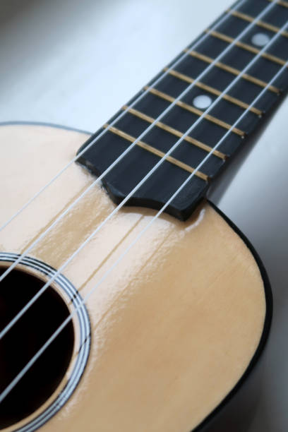istock Closeup of a Ukulele 1793379567