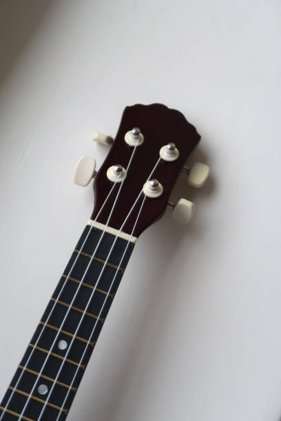 istock Closeup of a Ukulele 1793380087