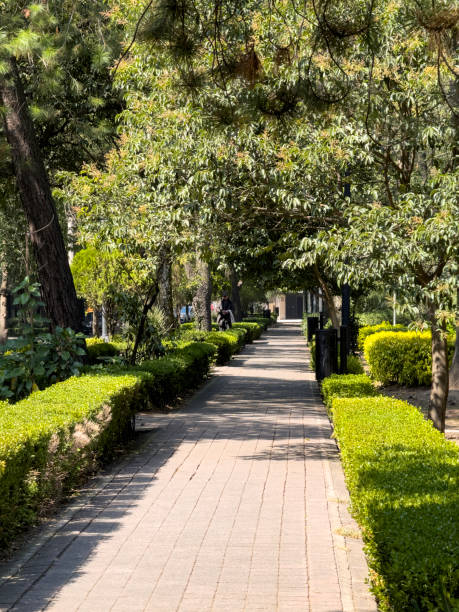 istock Public park, Mexico City, Parque Lincoln 1793383650