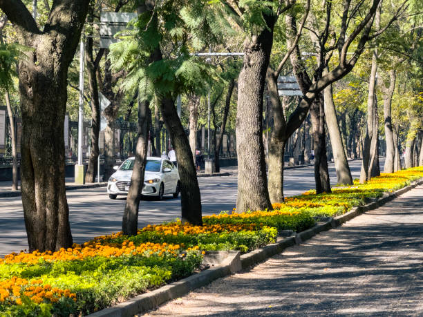 istock Footpath along Reforma Avenue in Mexico City 1793384884