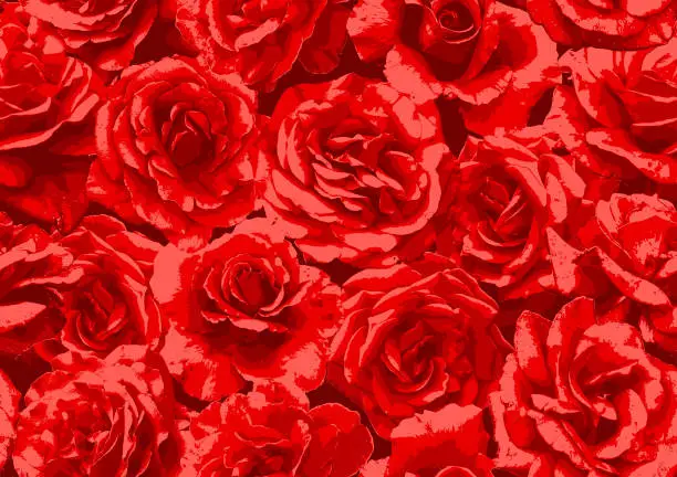 Vector illustration of Seamless red rose botanical background