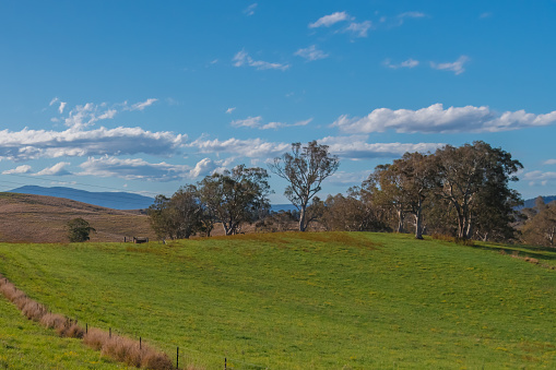 The road ahead on a Winters day in the Monaro Region of NSW, Australia