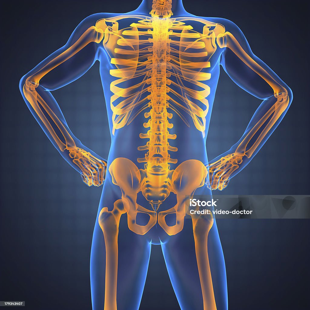 scan radiography humanos - Foto de stock de Adulto royalty-free