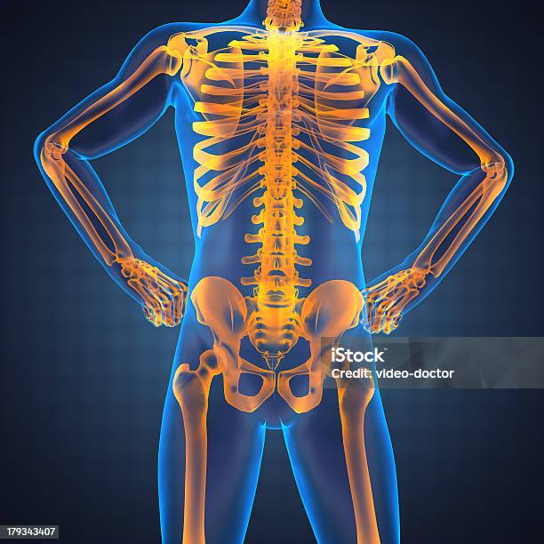 Foto de Scan Radiography Humanos e mais fotos de stock de Adulto - Adulto, Anatomia, Articulação Humana - Termo anatômico