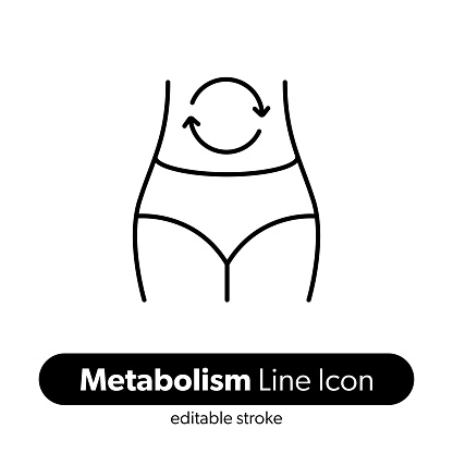 Metabolism Line Icon. Editable Stroke Vector Icon.