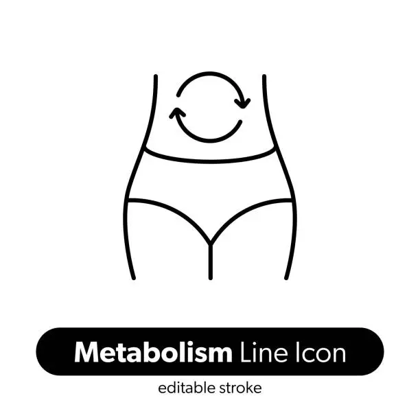 Vector illustration of Metabolism Line Icon. Editable Stroke Vector Icon.