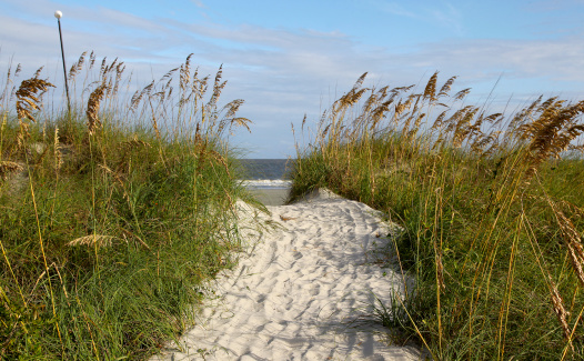 Path to a beach - Sea Pines, Hilton Head Island SC