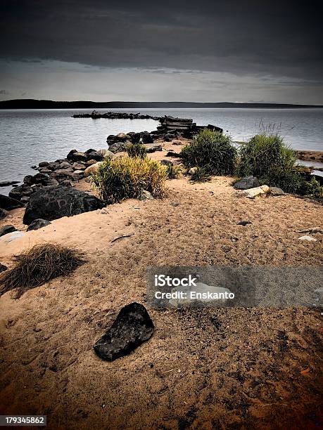 Lakeshore - Fotografie stock e altre immagini di Acqua - Acqua, Albero, Ambientazione esterna