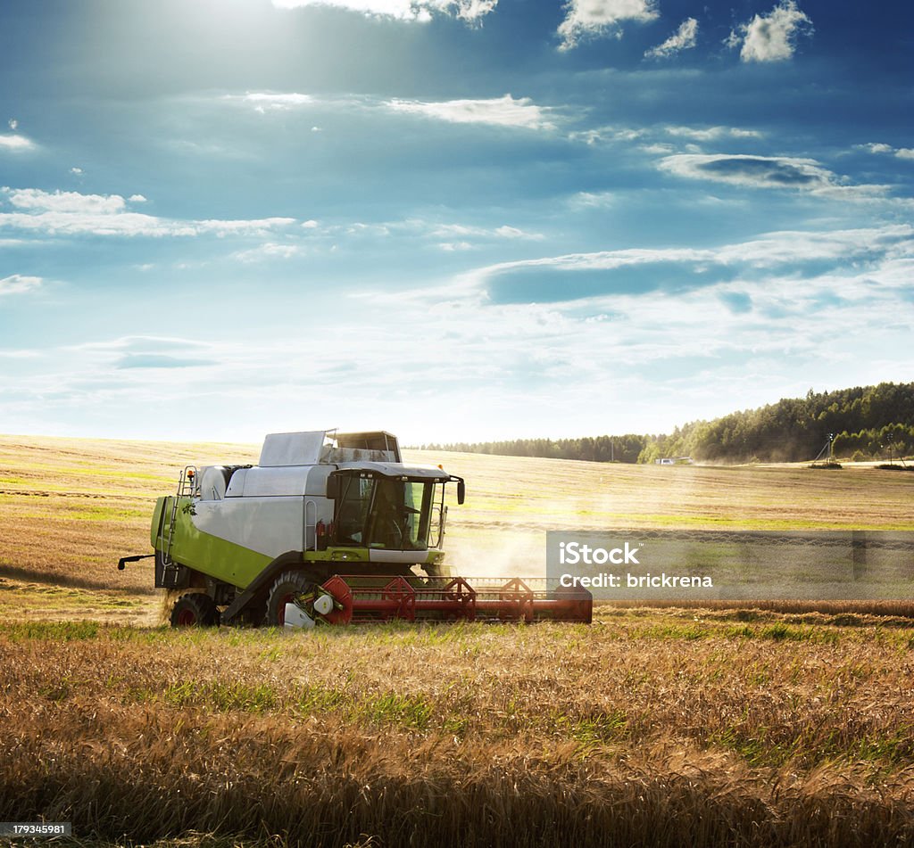 Combine Harvester on a Wheat Field Working Harvesting Combine in the Field of Wheat Machinery Stock Photo