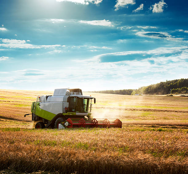Combine Harvester on a Wheat Field stock photo