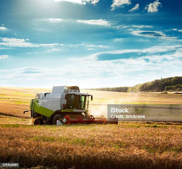 Combine Harvester On A Wheat Field Stock Photo - Download Image Now - Machinery, Agriculture, Combine Harvester