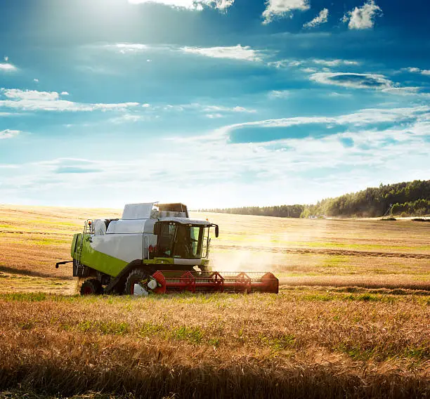 Photo of Combine Harvester on a Wheat Field