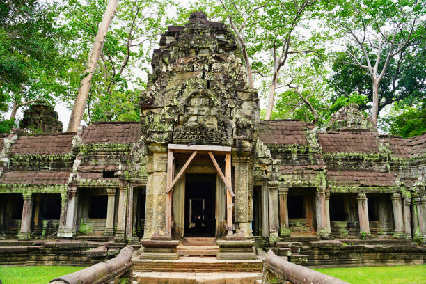 ta phrom tree świątynia sławy tomb raider - bayon phrom zdjęcia i obrazy z banku zdjęć