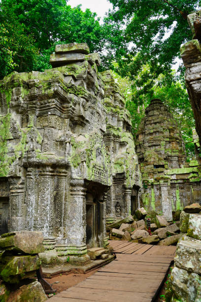 ta phrom tree temple of tomb raider fama - bayon phrom foto e immagini stock