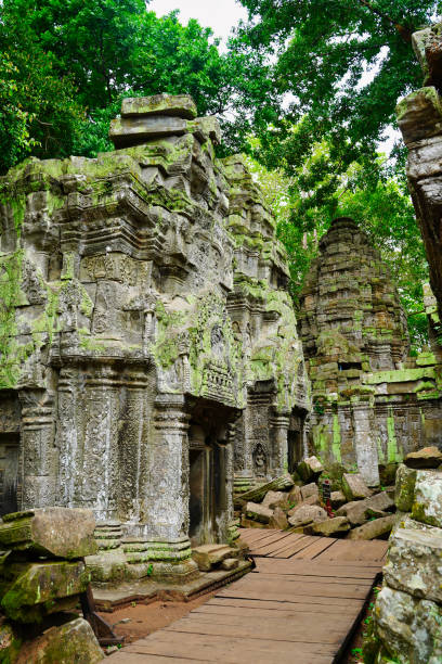 ta phrom tree świątynia sławy tomb raider - bayon phrom zdjęcia i obrazy z banku zdjęć