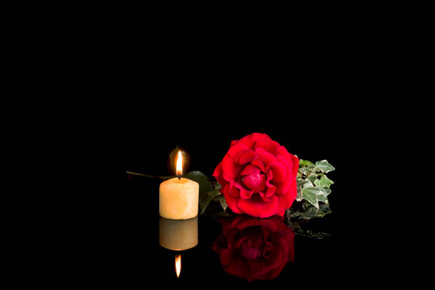 istock Red rose flowers on black  background 1793493036