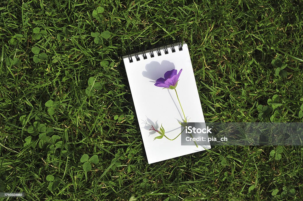 Vuoto Blocco note con fiore viola su Campo in erba - Foto stock royalty-free di Ambientazione esterna