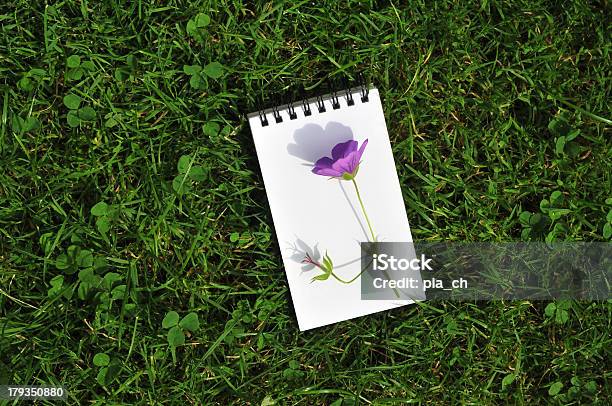 Vuoto Blocco Note Con Fiore Viola Su Campo In Erba - Fotografie stock e altre immagini di Ambientazione esterna - Ambientazione esterna, Amore, Annotazione