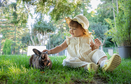 27-month-old baby girl wearing a hat plays with a rabbit in a public park