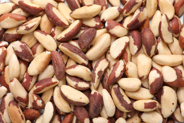 istock Many delicious Brazil nuts as background, top view 1793519079
