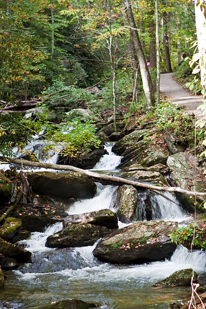 istock Forest waterfall in Helen Georgia. 179352088