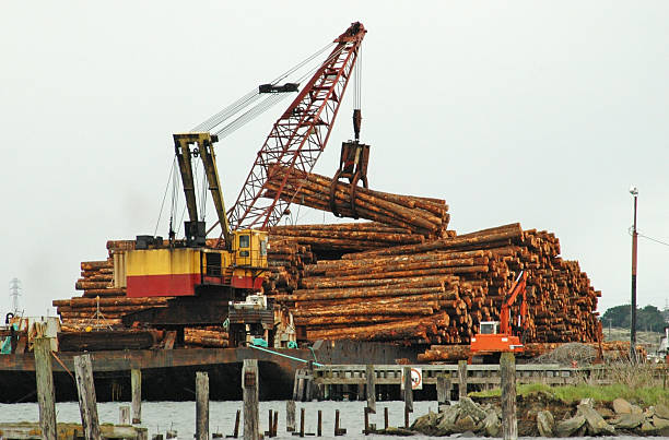 istock Crane off-loading harvested redwood trees from barge in California 179352351
