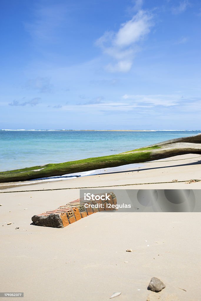 Brick na praia - Royalty-free Alga Foto de stock