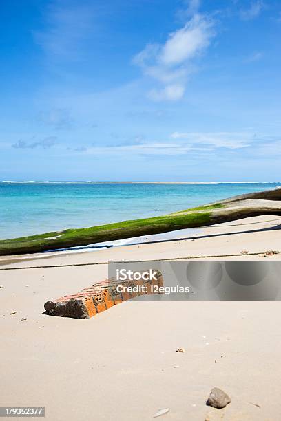 Brick Na Praia - Fotografias de stock e mais imagens de Alga - Alga, Ao Ar Livre, Areia