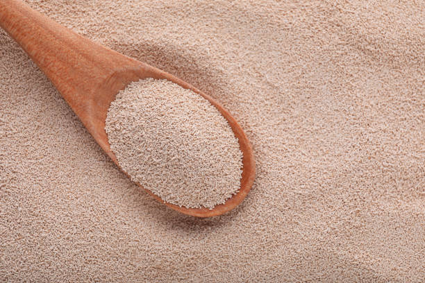 istock Spoon on pile of active dry yeast, top view. Space for text 1793559285