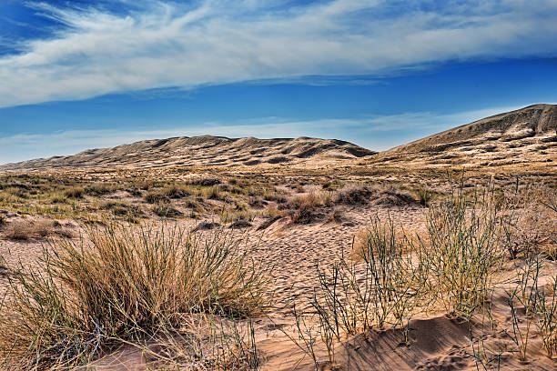 istock Kelso dunes in Mojave National Monument 179356254
