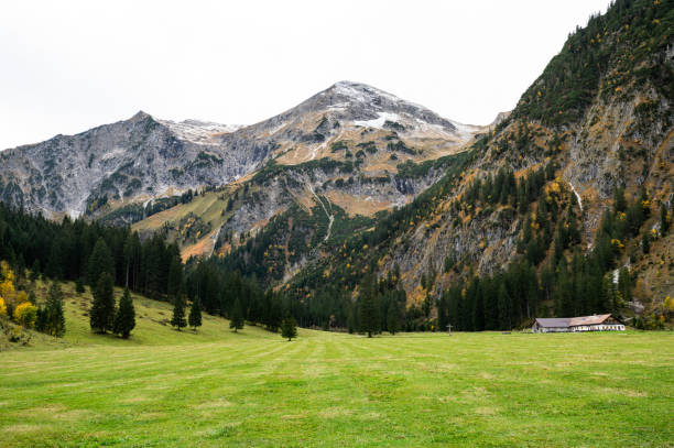 istock Alpine landscape, pasture and mountains 1793563160