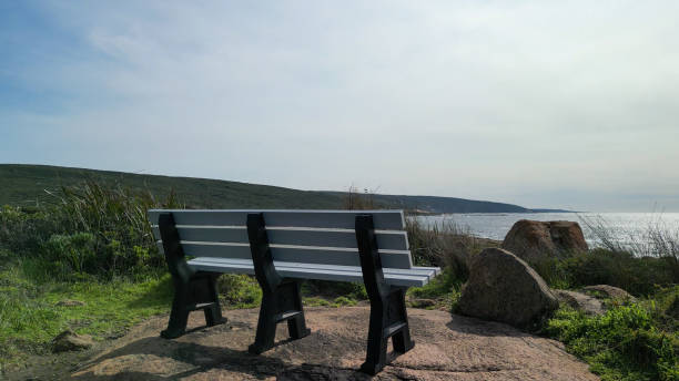 istock Bench along the australian coastline 1793584716