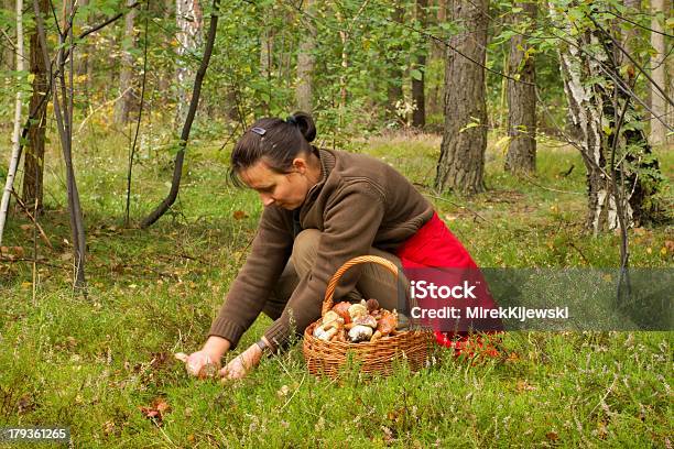 Mujer Tome Mushrooming Champiñones En El Bosque Foto de stock y más banco de imágenes de Buscar setas - Buscar setas, Seta, Seta comestible