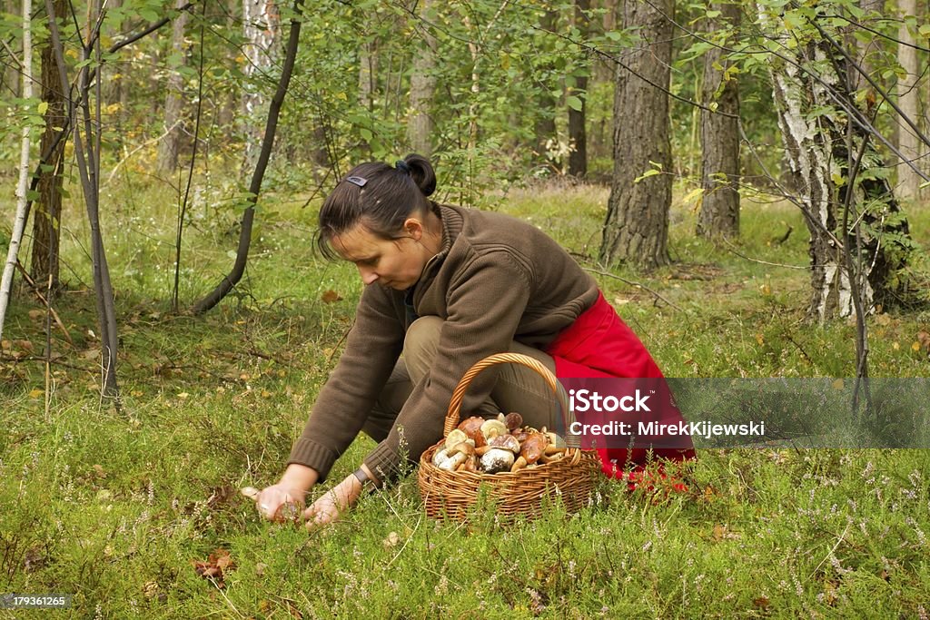 Mushrooming, femme cueillir des champignons dans la forêt. - Photo de Champignon libre de droits