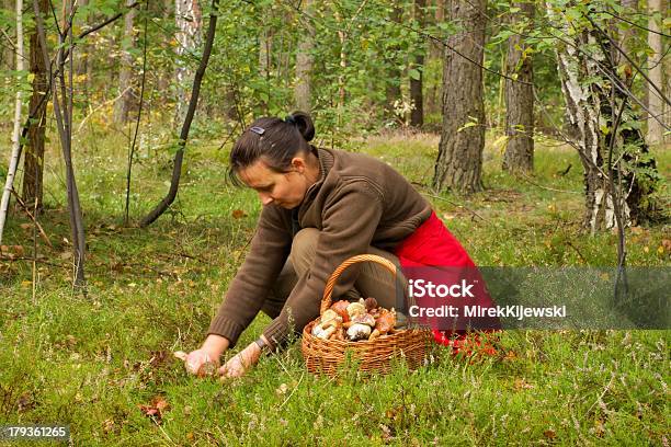 Photo libre de droit de Mushrooming Femme Cueillir Des Champignons Dans La Forêt banque d'images et plus d'images libres de droit de Champignon