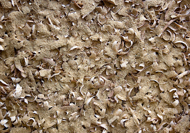 A flat view of a dense collection of various wood shavings texture with finer sawdust inbetween