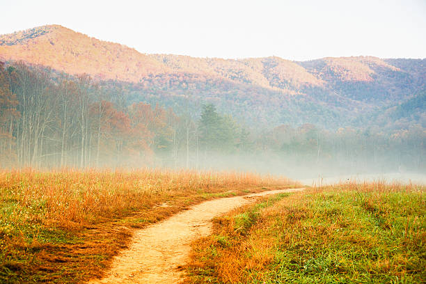 road en el campo - landscape landscaped tennessee mist fotografías e imágenes de stock