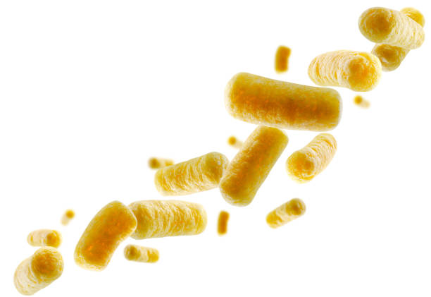 istock Corn sticks fly in space forming a chain shape. Volumetric light from behind. Isolated on white 1793625437