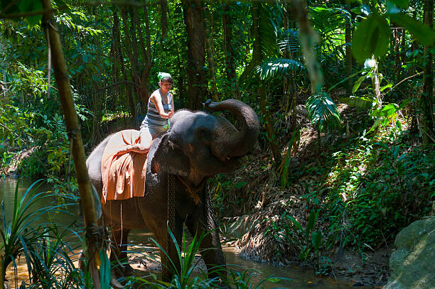 istock Woman riding on an elephant 179362848