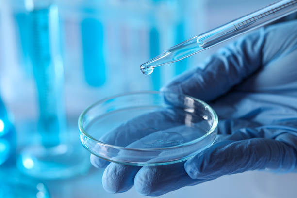istock Scientist dripping liquid from pipette into petri dish in laboratory, closeup 1793630896