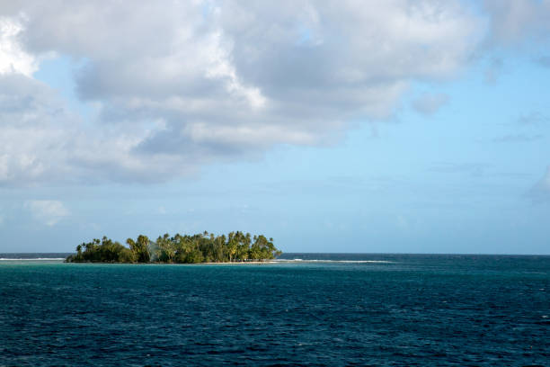 istock Tranquil Beach with Lush Palm Trees on a Tropical Island 1793648252