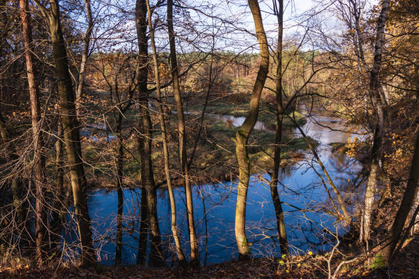 istock Rawka River, Park Bolimowski 1793654633