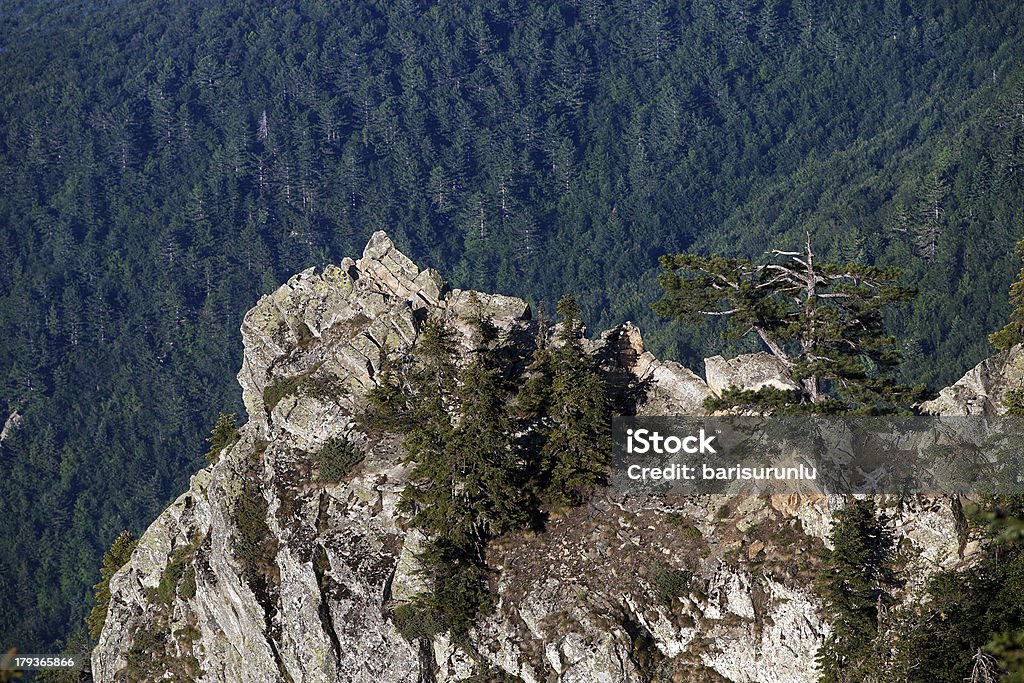 Montanha Rock nas - Foto de stock de Bosque - Floresta royalty-free