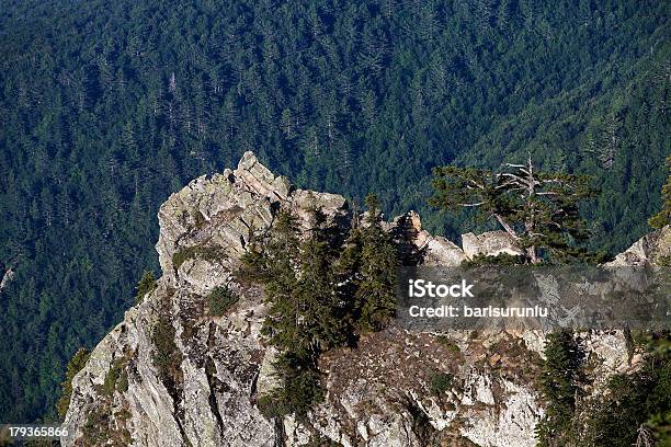 Foto de Montanha Rock Nas e mais fotos de stock de Bosque - Floresta - Bosque - Floresta, Escalar, Exterior